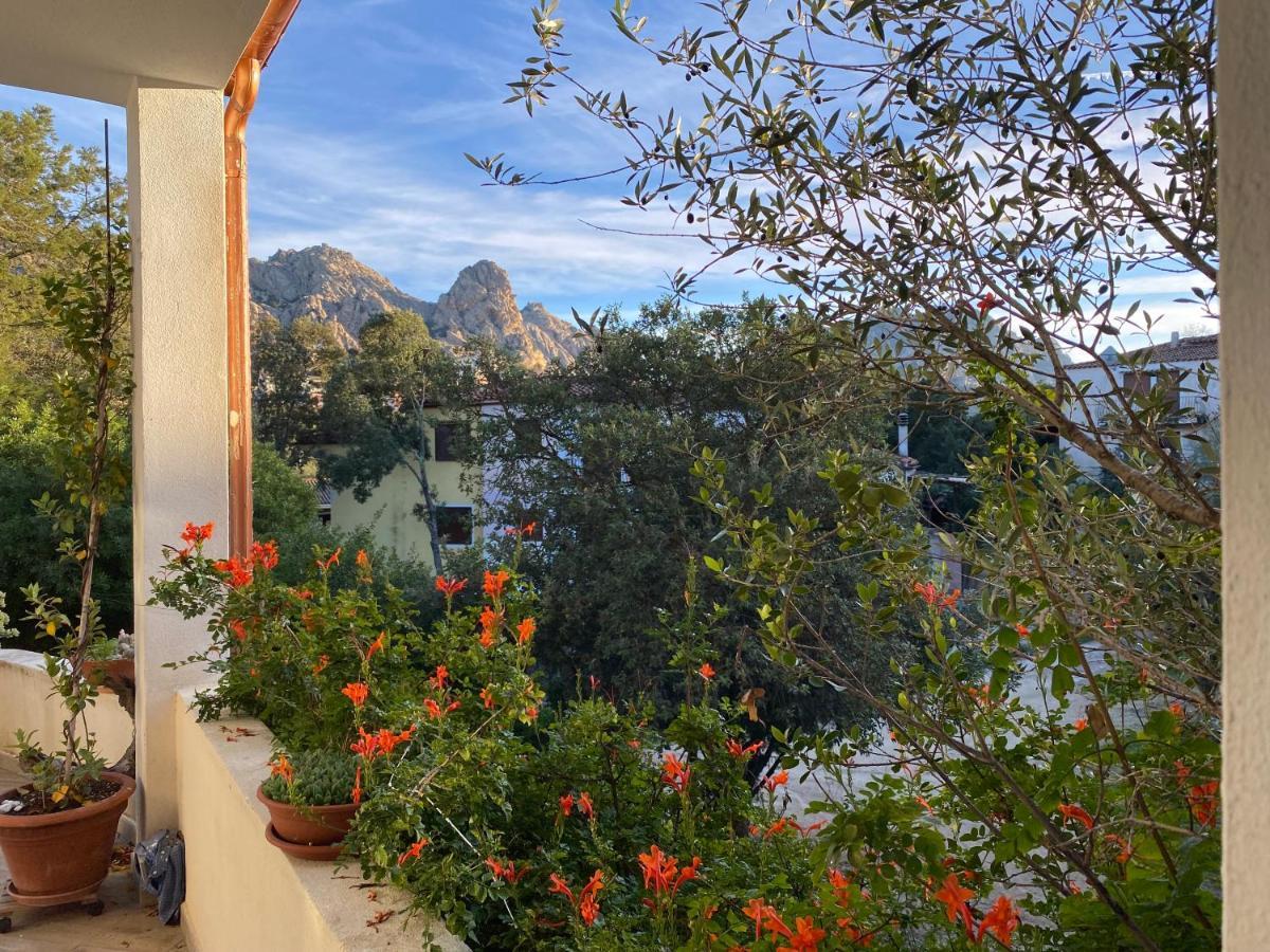 Casa Vacanza Malcusa San Pantaleo Exterior photo